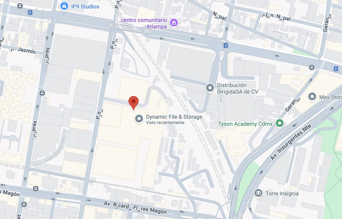 Mapa de la ubicación de Dynamic File & Storage en Calle Pino 343, CDMX